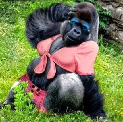 A 2015-ös Eurovíziós dalverseny győztese