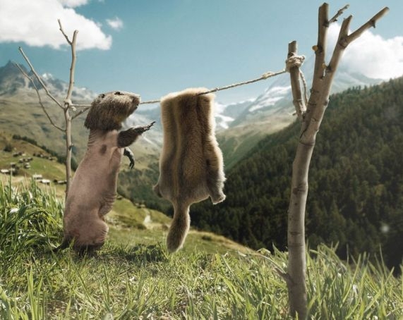 Ma elvileg nagyon meleg lesz...