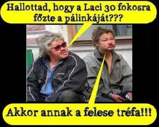 Napi gyümölcspárlat