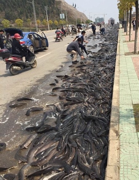 Kinyílt a hátsó ajtó