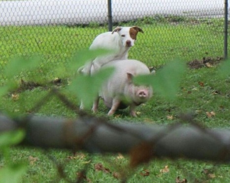 Az élet attól szép, hogy bármi megtörténhet...