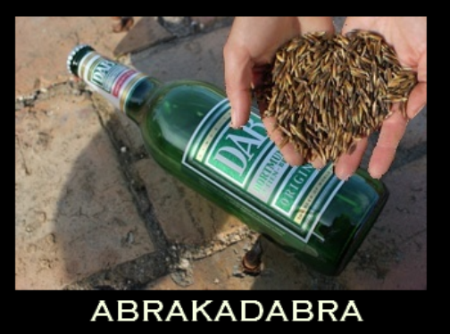 Vasárnapi pihentető