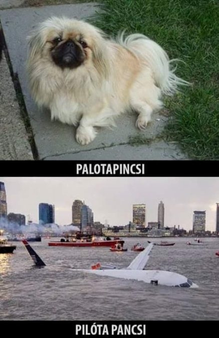 Napi reccs!