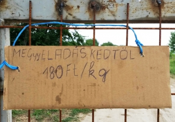 Tiszafüreden várják a vevőket...