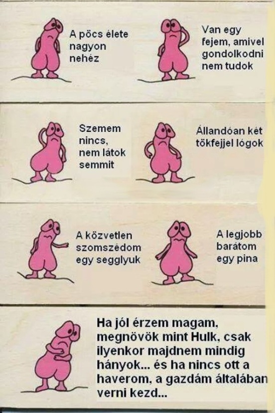 A bráner sanyarú sorsa