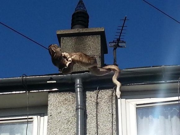 Megunta a bezártságot