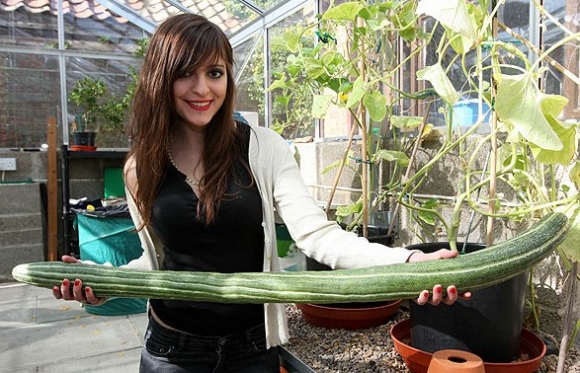 Akinek nincs szerencséje a szerelemben...