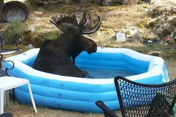 Időjárás előrejelzés röviden