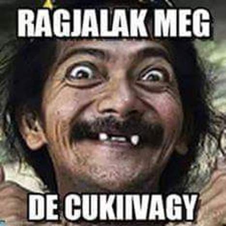 Napi definíció - Bókol