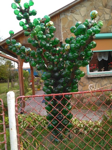 Gyomorkeserűt szereted? - Ők igen!