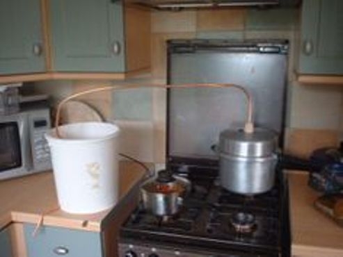 Született háziasszony