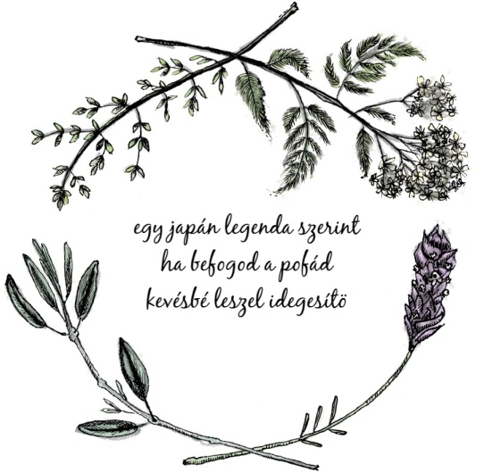 Napi Haiku