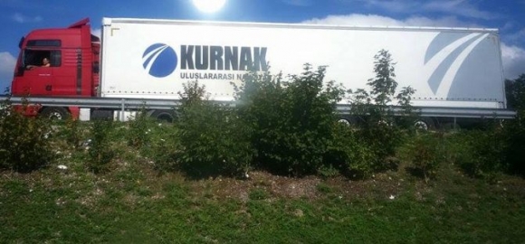 Milyen nevet adjunk a cégünknek?