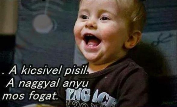 Az én apukámnak két kukija van...