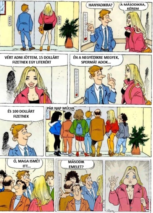 Ráment a szöszi a nagy lóvéra...