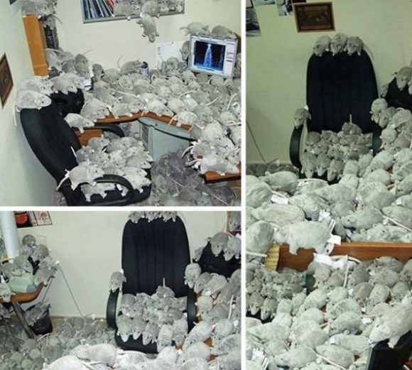 Egy kis irodai szívatás...