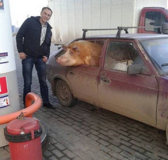 Ma Oroszországban volt fuvarja a szállítónak