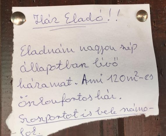 Szoszport is beszámol