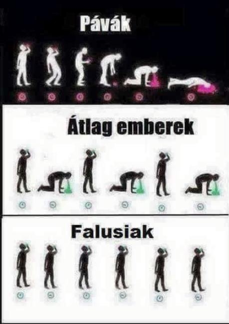 Napi tényfeltáró - A pálinka hatása