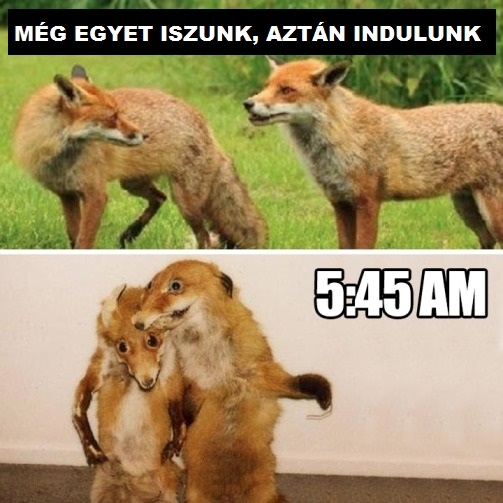 Veled is megtörtént már?!