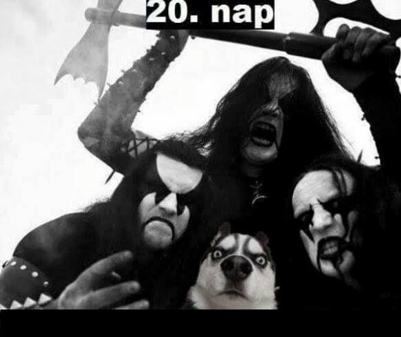 20. nap - Még mindig nem jöttek rá...