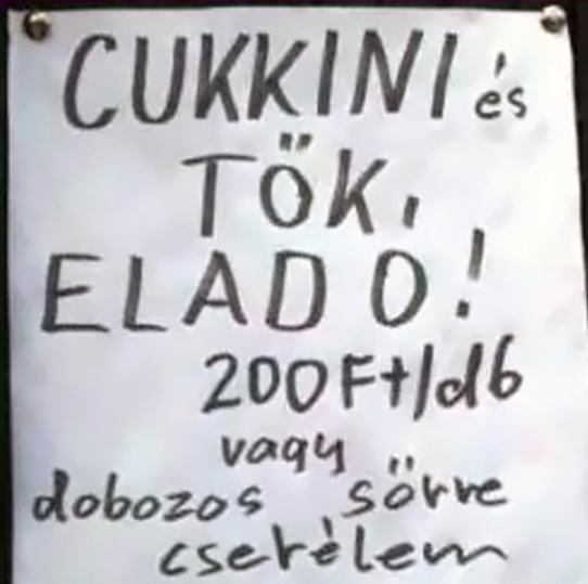 Befutott a nap ajánlata