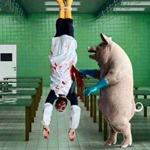 Ha az emberek és az állatok helyet cserélnének...