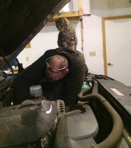 Cirmi figyelmeztet...