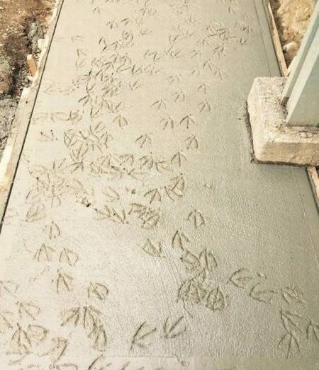 Ez a látvány fogadott betonozás után fél órával...