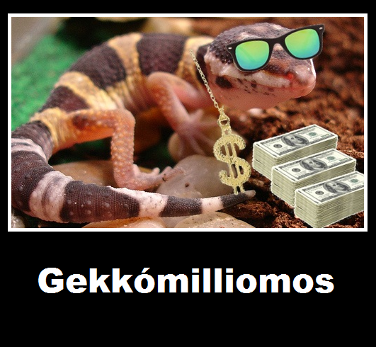 Hét eleji zsibbasztó