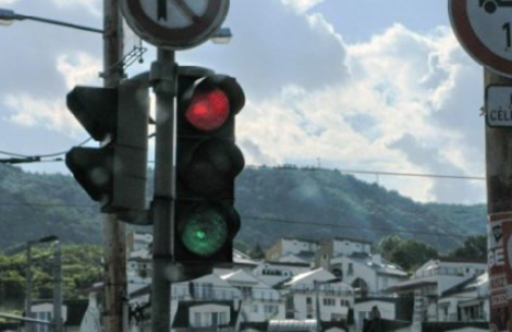 Szabad választójog