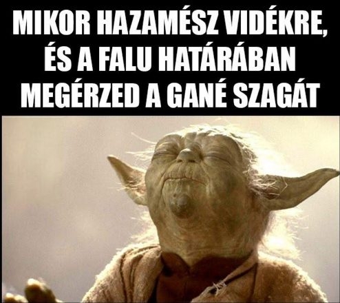 Vidéki friss levegő