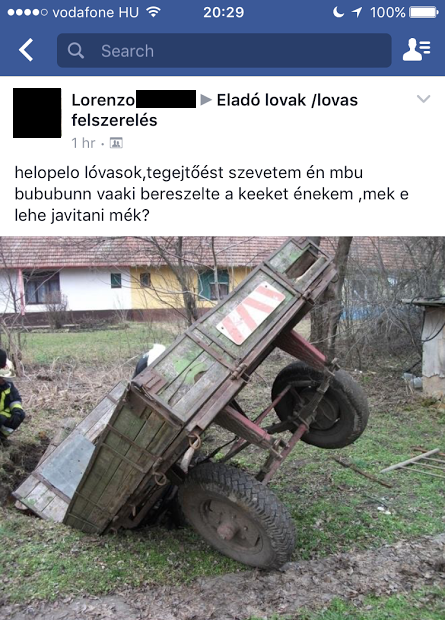 Facebook gyöngyszem