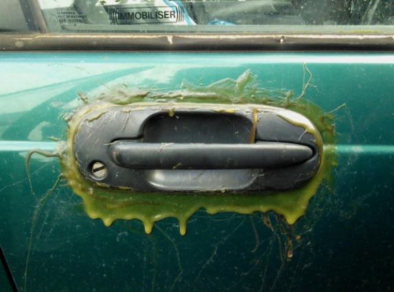 Jóvanazúgy - mester munka, angol módra