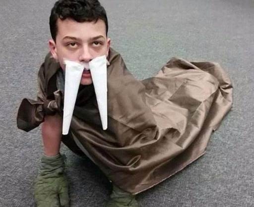 Napiszar jelmez verseny - a rozmár