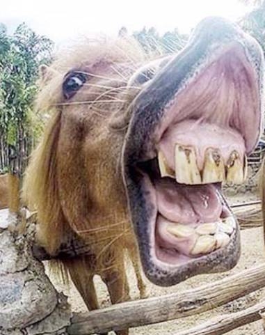 Legyen szép napod, és ne feledd...