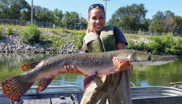 Ez aztán a Jófogás!