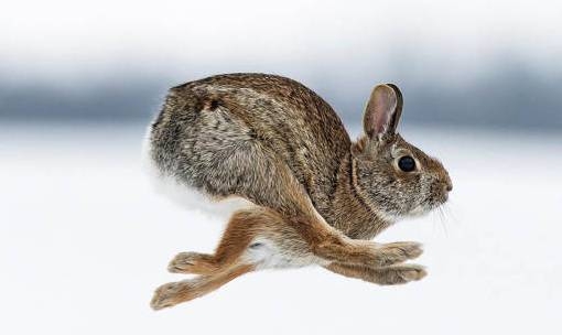 Péntek délután...