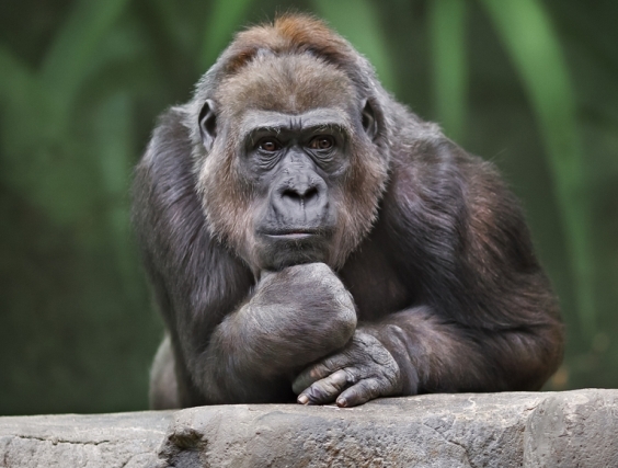 Azon agyalok, hogy lehetne megoldani,