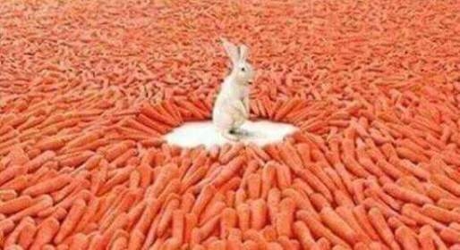 Amikor hajnali 5-kor, már csak egy csaj van a tánctéren...