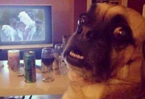 Örülnék, ha most kimennél...