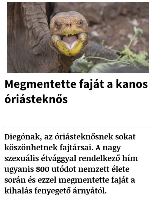 A hősök köztünk élnek