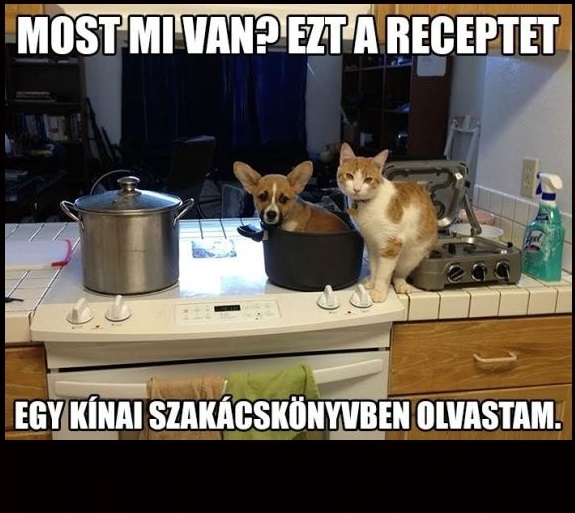 Egy bizarr megoldás