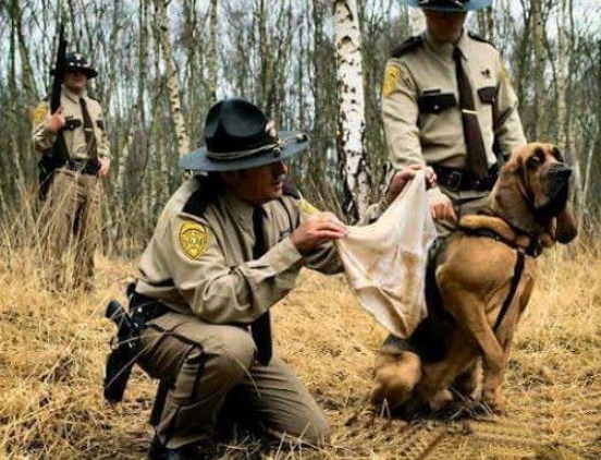 A pillanat, amikor Buksi megbánta, hogy