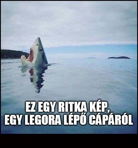 Földöntúli fájdalom