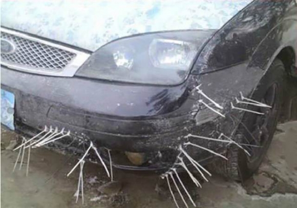 Egy jó társ a bajban...