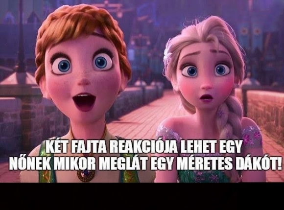 Íme Chuck Norris macskája