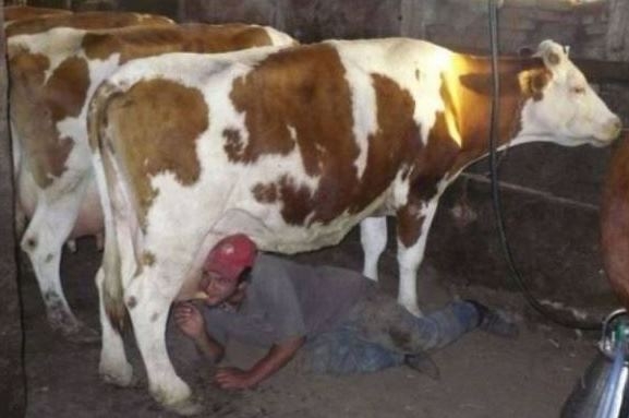 Definíció - egyenesen a termelőtől :D