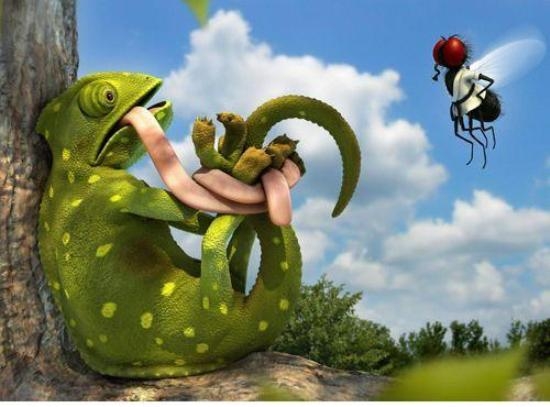 Akcióban a kung-fu mester