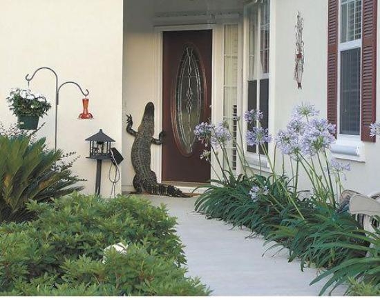 Induljon jól a reggel